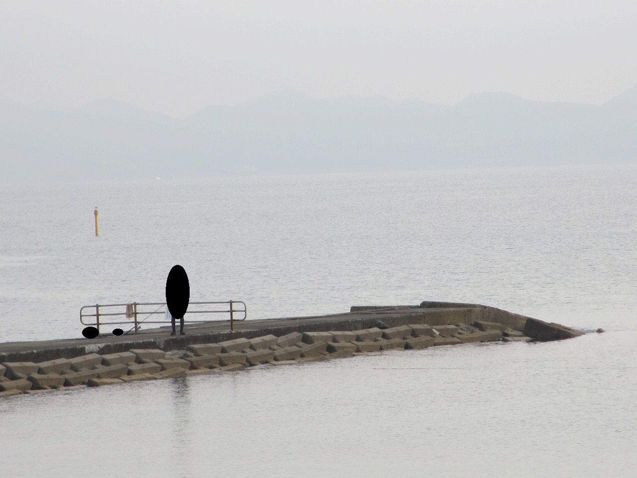 鳥取県,海釣り,ポイント,弓ヶ浜